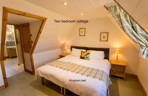 Ferroch the place with an amazing view! - Photo 16