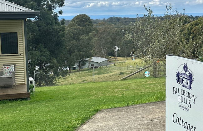 Blueberry Hills on Comleroy - Photo 61