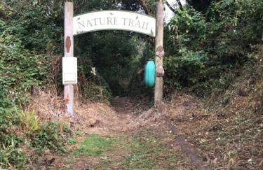 Peaceful Paradise - Photo 39