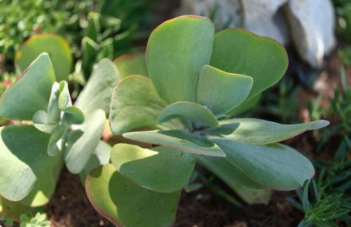 San Nanni House - Foto 4