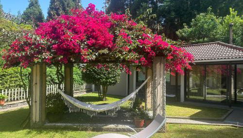 Quiet Place - Foto 1, sunbed, Garden view