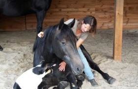 Agroturystyka Polana Harmonii - Foto 21