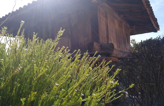 Rural Obaya - Photo 18