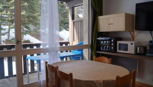 Studio lumineux à Pra Loup 1500 pour 4/5 personnes, accès facile aux pistes - FR-1-165A-113 - Foto 1