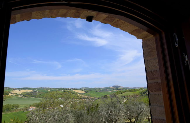 L'Oasi di Pierino - Foto 21