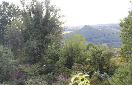 Rhandirmwyn - Cottage - Sleeps 4 - Pet Friendly - Foto 61