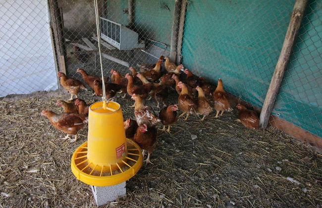 Agriturismo Porta Sirena - Foto 20