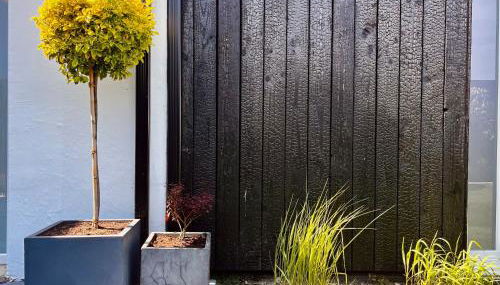 La Baraque Calais Blériot 2 - Foto 5