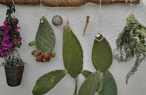 La collina sui trabocchi - Foto 47