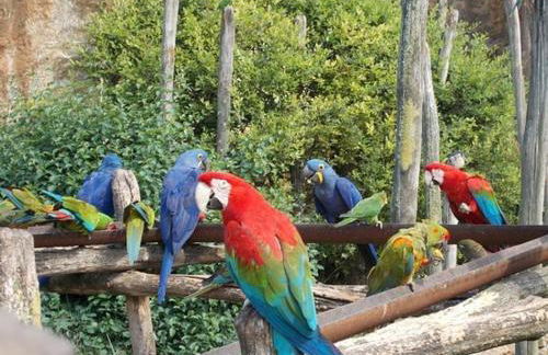 Maison rénovée en tuffeau - Foto 19