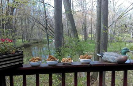 Cabin Surrounded by Sublime Nature near Lake Huron, Michigan - Foto 12