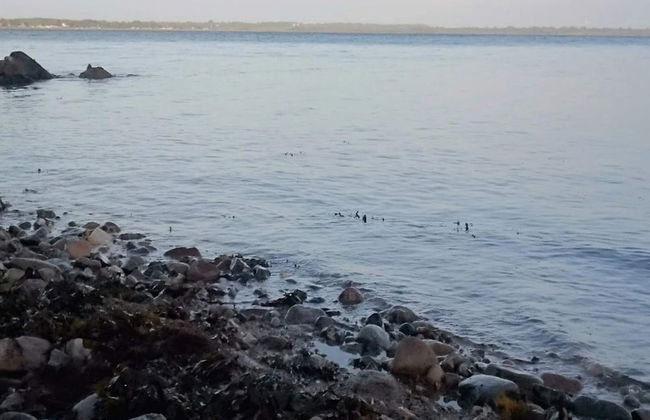 Luxury Seaside Retreat - By Traum Ferienwohnungen - Foto 55