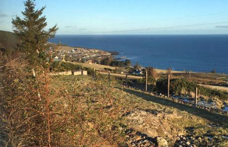 The Stroops - Foto 24