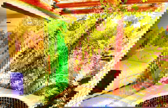 Bangatacho - Foto 56