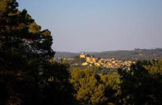 Le Mas Sérénité - Foto 65