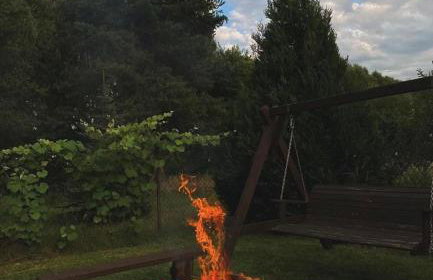 Kwintesencja Natury - Foto 25