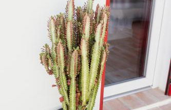 Casa Vó Briata - Foto 46