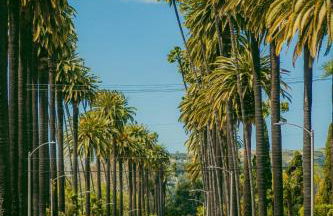 Hollywood CHIC Studio with FREE parking - Photo 21