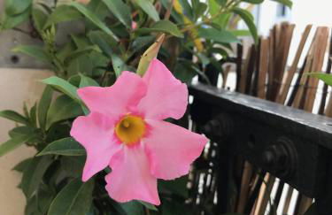 Appartement Elsa Valencia - Photo 39