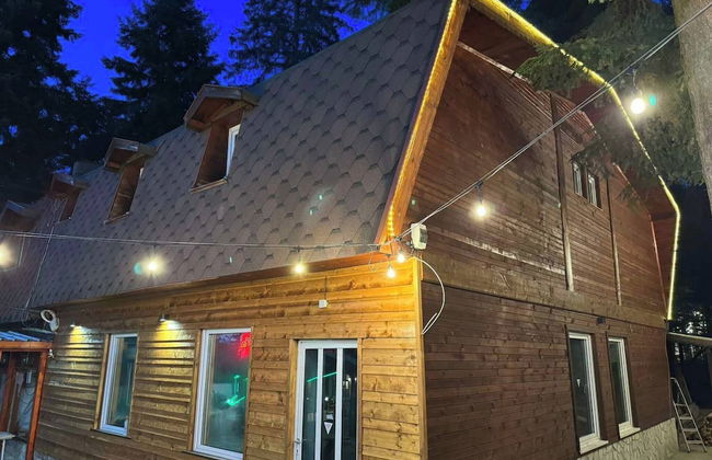 Chalet Iskar Borovets - Foto 15