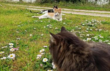 La nostra casetta - Foto 45