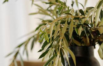 Fattoria Iluigi - Foto 25