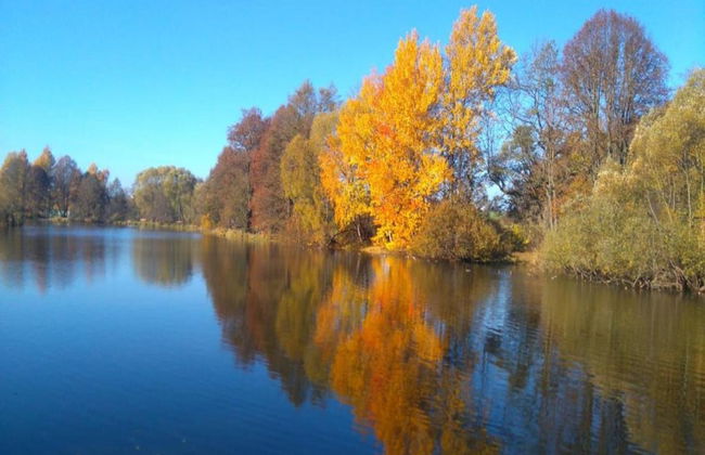 Quaint Apartment in Bergk With Garden - Foto 41