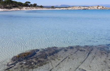 Spacious Villa close to an amazing Sithonia beach - Foto 53