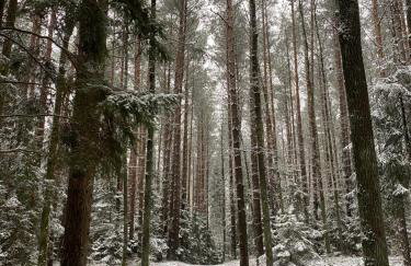 Apartament Nieznany Bór - Foto 32