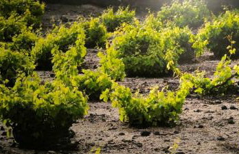 Kamarí Real Living, with Caldera views and Jacuzzi - Foto 29