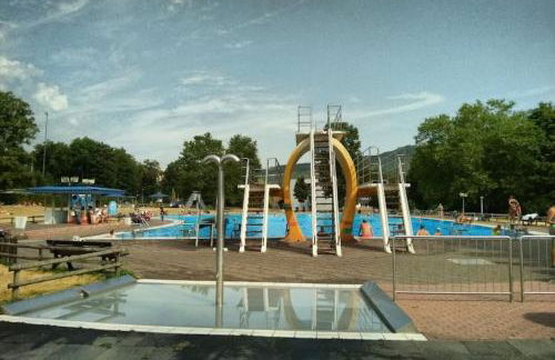 Ferienwohnungen zum Goldgräber - Foto 43