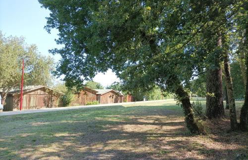 Grande maison entre Lac et forêt - Foto 64