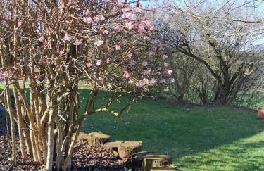 Ferienwohnung Auenland - Photo 28