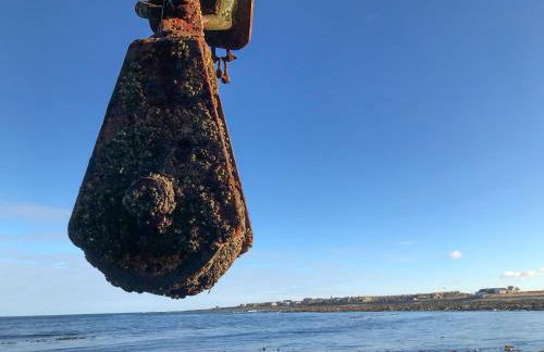 Cotton Shore - Foto 19