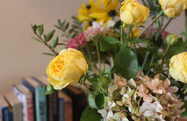 Pardlestone Farm Groom’s Cottage - Foto 18