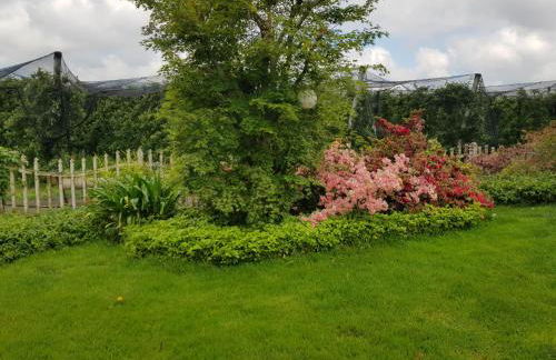 Casa Lucia - Photo 3