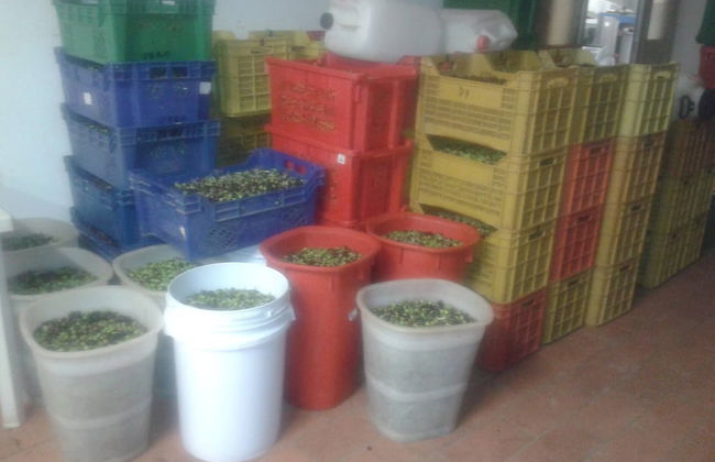 Podere Le Rote Private Farmhouse - Foto 31