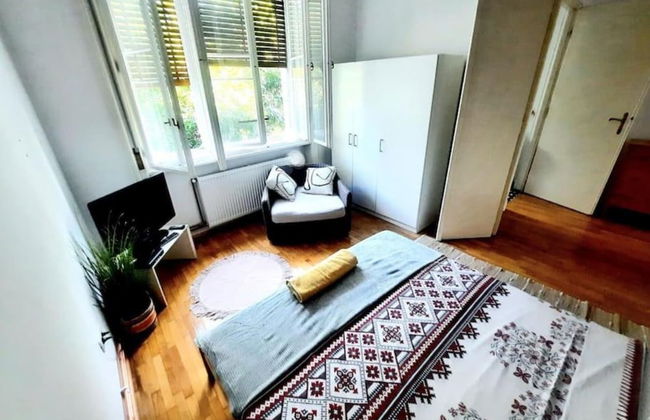 Boheme Proprety in the Heart of Timisoara - Foto 6