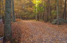 Pocono Mountain Retreat - Foto 6