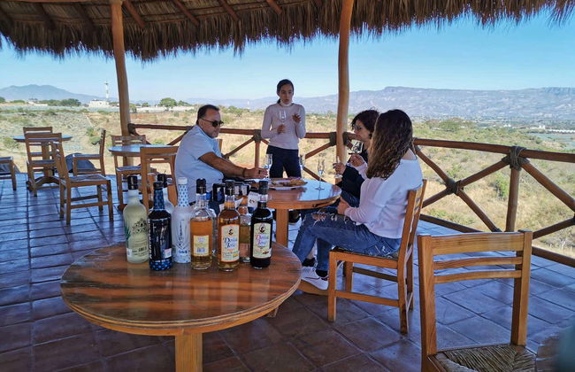 Tequila Tour + Distillery Visit with Tasting - Photo 2