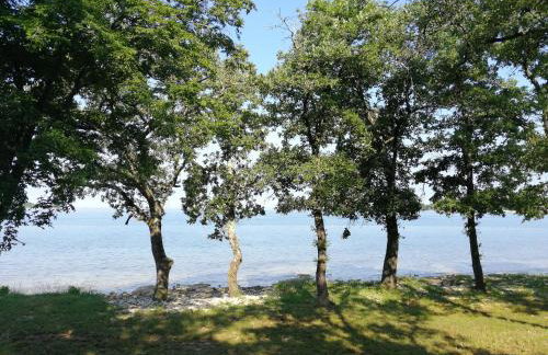 Santa Marina - Foto 22