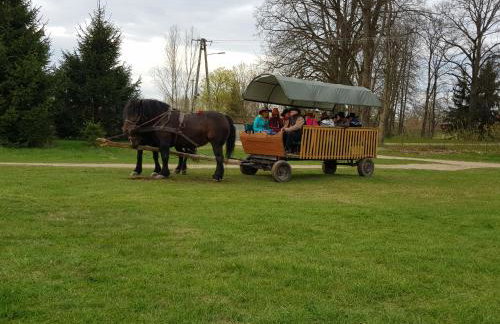 Apartament Wiejska Sielanka - Photo 35