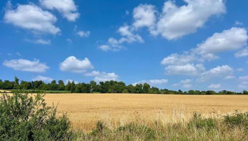 Luxury Barn Complex -Hot Tub- Orchardleigh Frome - Foto 4