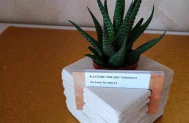 Friend of all the world - Giardino di Roma - Casal Bernocchi - Acilia - Foto 35