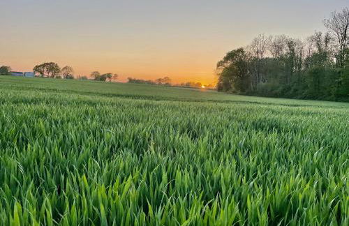 Hühnerstall Lüttenhof - Foto 32