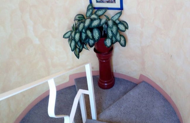 Apartment Pablito - - Foto 18