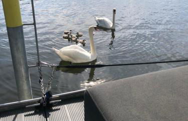 Basalt Lodge am Lehnitzsee - Foto 31