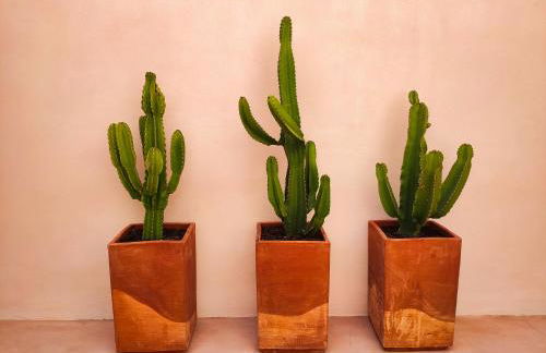 Casa Micocci di Casa Camilla Journey - Foto 9