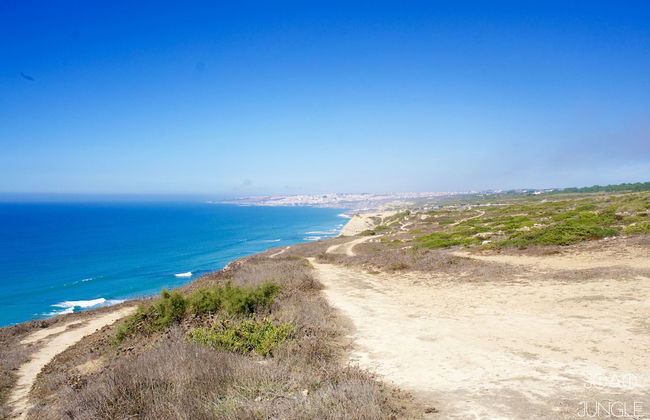 João Jungle - Foto 80