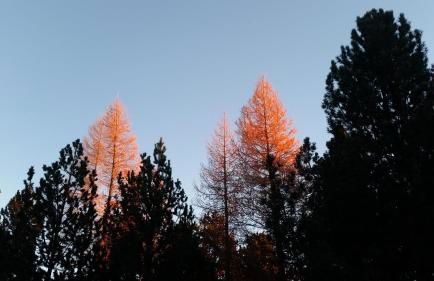 Chalet Edliane - Foto 38